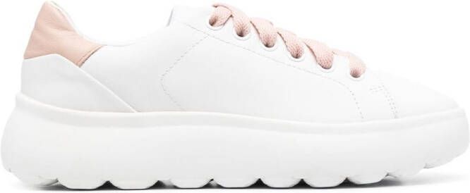 Geox Spherica leather sneakers White
