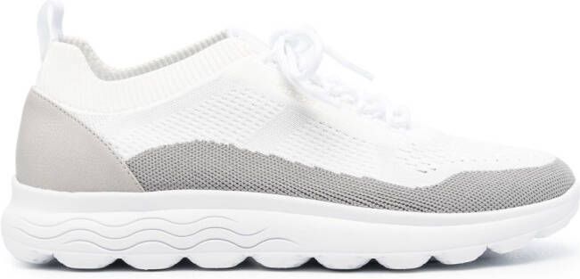 Geox Spherica low-top sneakers White
