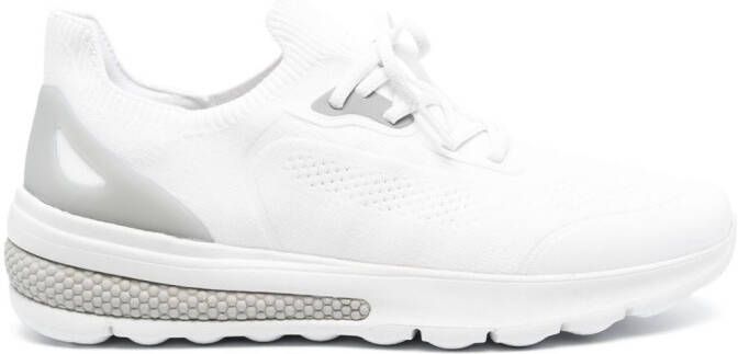 Geox Spherica low-top sneakers White