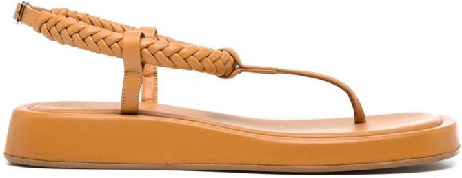 GIABORGHINI x Rosie Huntington-Whiteley 3 flat thong sandals Brown