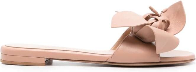 Gianvito Rossi Lucilla leather slides Pink