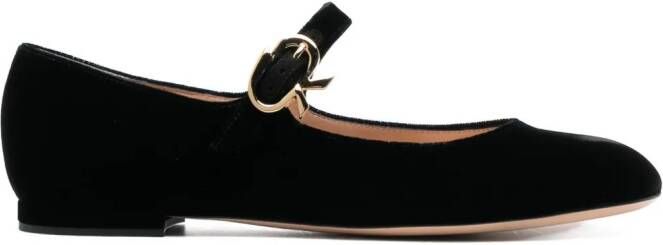 Gianvito Rossi Mary velvet leather ballerina shoes Black