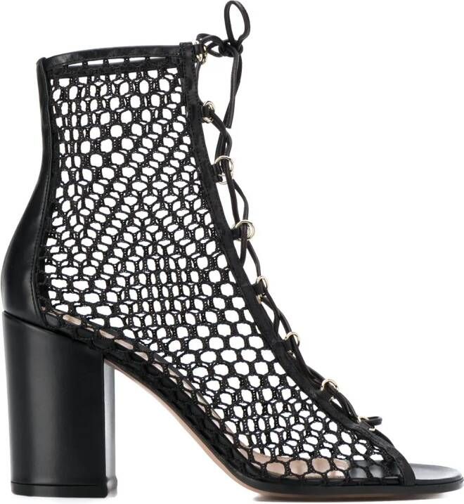 Gianvito Rossi mesh lace-up booties Black