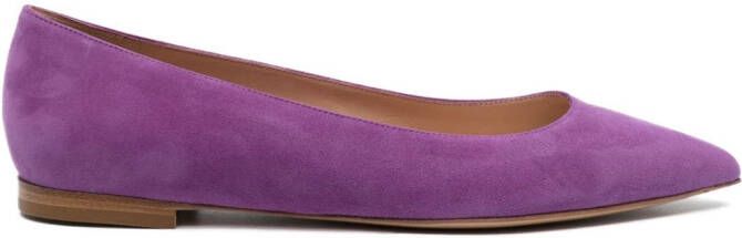 Gianvito Rossi poined-toe flat ballerina shoes Purple