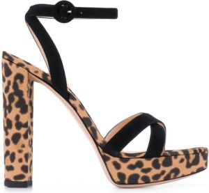 Gianvito Rossi Poppy leopard print sandals Black