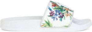 Giuseppe Zanotti floral logo pool slides White