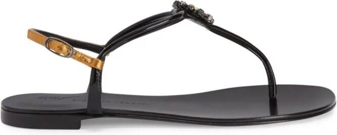 Giuseppe Zanotti Noussa floral-appliqué sandals Black