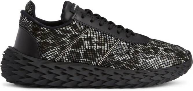 Giuseppe Zanotti Urchin leopard-print leather sneakers Black