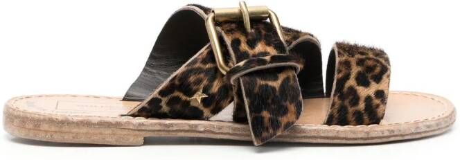 Golden Goose leopard-print buckle sandals Brown