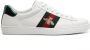 Gucci Ace web-trim sneakers White - Thumbnail 1