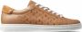 Jimmy Choo Rome M leather sneakers Brown - Thumbnail 1