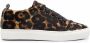 Manebi leopard-pattern low-top sneakers Brown - Thumbnail 1