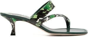 Manolo Blahnik python-embossed 60mm mules Green