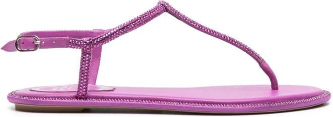 René Caovilla Diana rhinestone-embellished flat sandals Purple