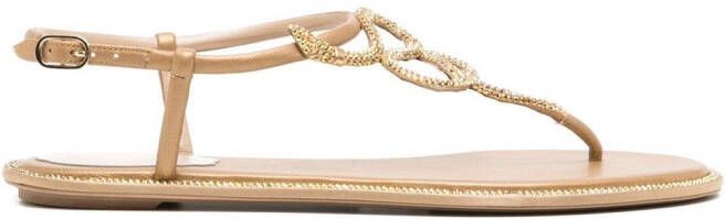 René Caovilla snake crystal embellished flat sandals Brown