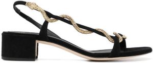 René Caovilla snake-embellished suede sandals Black