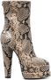 Roberto Cavalli snakeskin-effect platform ankle boots Neutrals - Thumbnail 1