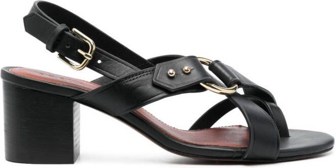 Soeur low-block heel sandals Black