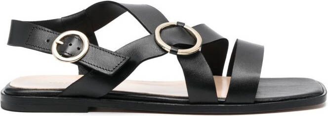 Tila March Gab square-toe sandals Black