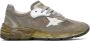 Golden Goose Taupe Dad-Star Sneakers - Thumbnail 1
