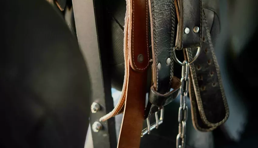 Storing your belt: 10 clever, funny and practical tricks